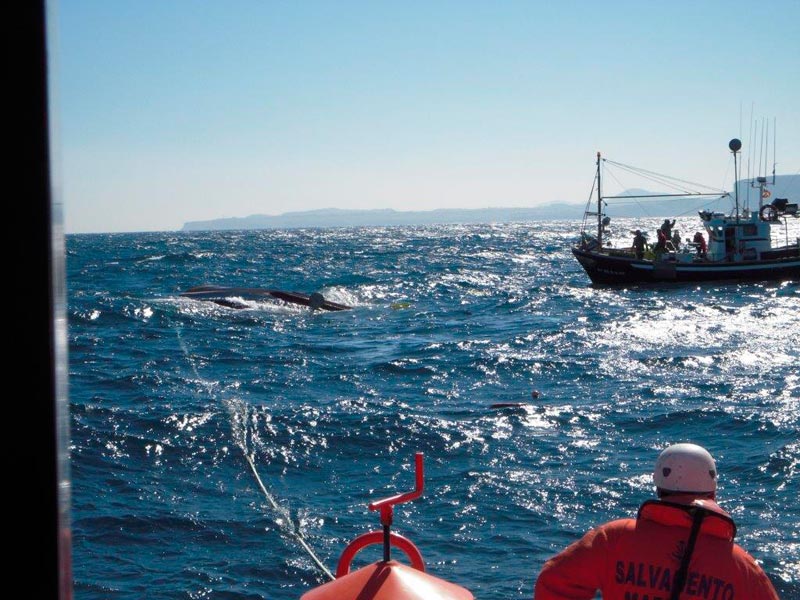 "Al menos podemos contarlo"