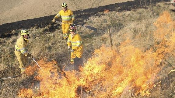 Los agentes forestales denuncian la "falta de medios humanos y materiales"