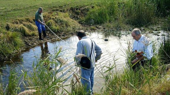 600 voluntarios inician la campaña de primavera del Proyecto Ríos