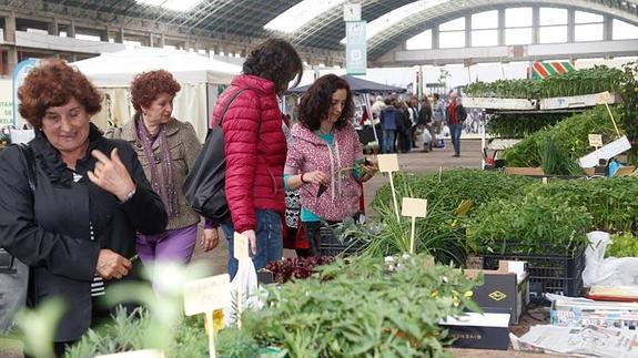 Más de 30 stands se dan cita en la IV Feria de Árboles y Plantas