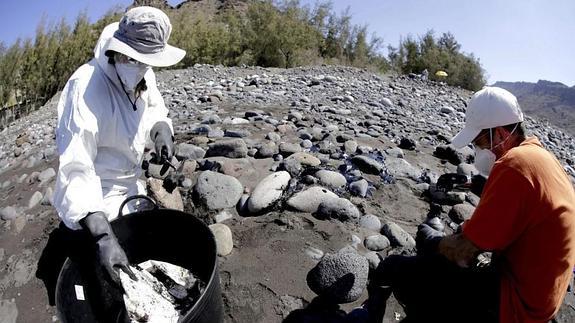 Recogen 200 kilos de hidrocarburos en las playas de Gran Canaria