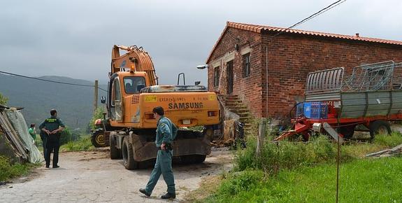 Un nuevo caso de abandono animal termina con cinco vacas muertas en Secadura