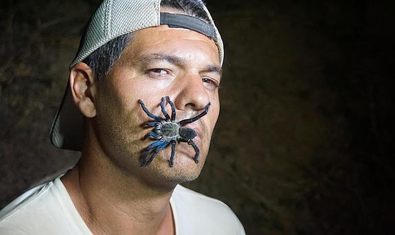 Frank busca al tigre de Bengala