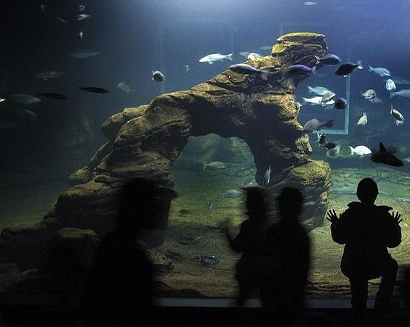 Cantabria cierra con visitas guiadas la celebración del Día de los Museos