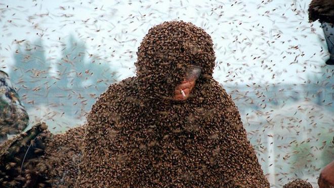 Un millón de abejas en el cuerpo de un hombre