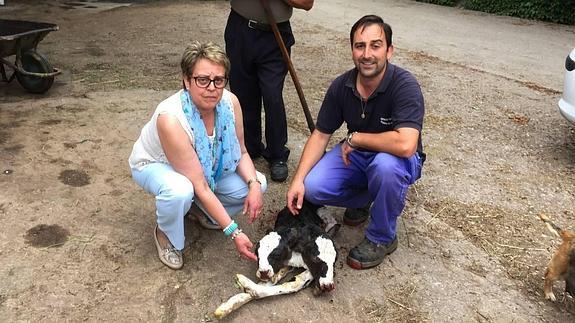 Nace un becerro con dos cabezas en Santiurde