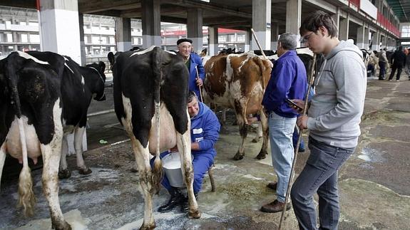 Ya cuesta vender la leche