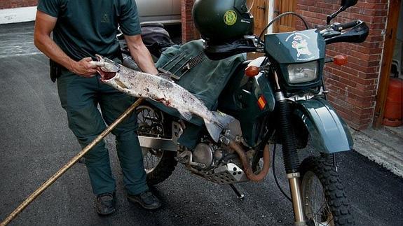 El Seprona detiene a tres hombres por pescar un salmón de 5 kilos con arpones