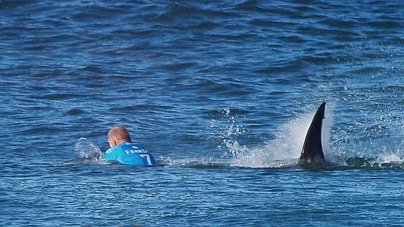 Un campeón de surf es atacado por un tiburón en medio de una prueba