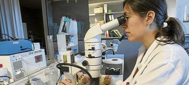 El IDIVAL obtiene más de 800.000 euros para investigar en cáncer y hepatitis C