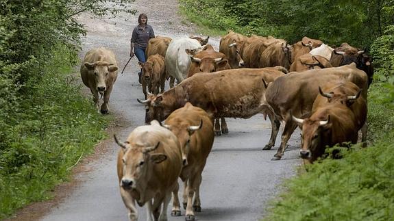 Oria corrige al PP: "La inversión en Desarrollo Rural cae un 4,8%"