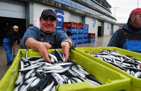 Ampliada hasta el 110% la cuota de la pesquería de la anchoa en el Cantábrico