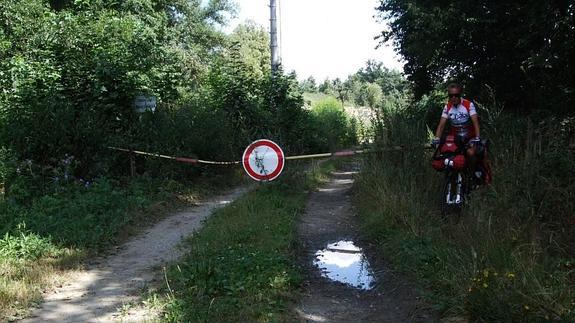 "Jóvenes, no os quedéis en casa, salid por el mundo"