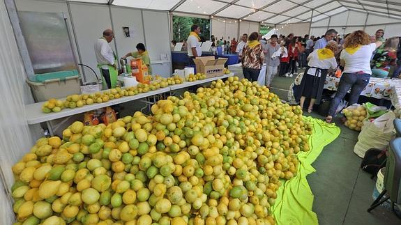 Beitia subastará su última medalla de oro en los 'Limones solidarios'