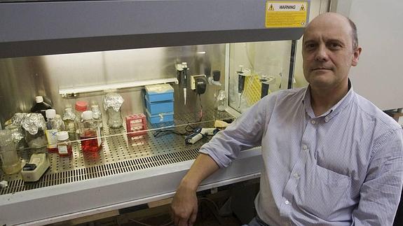Científicos cántabros descubren un nuevo fármaco contra el cáncer