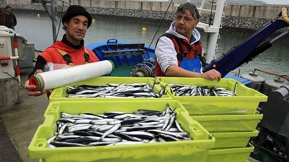 La costera del bocarte seguirá abierta hasta agotar la cuota