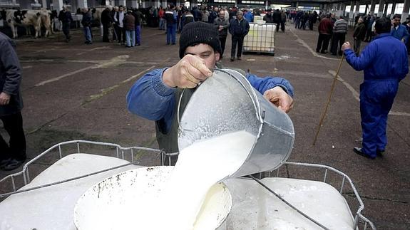 Los ganaderos piden al Gobierno que complemente los precios de la leche