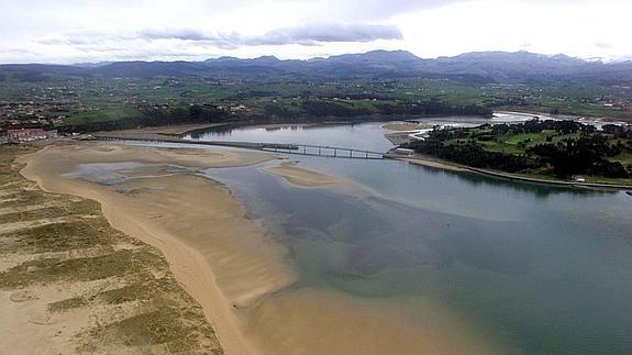 Cantabria estudia cómo erradicar la chilca en la Ría de Cubas