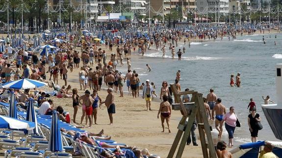 Alerta: ¿Tiburón en Benidorm?