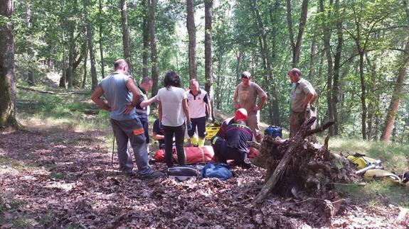 Un hombre se fractura la pierna cortando leña en Ucieda