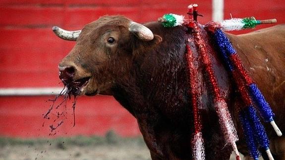 Un cántabro de 24 años recoge firmas en internet para prohibir las corridas de toros en Cantabria