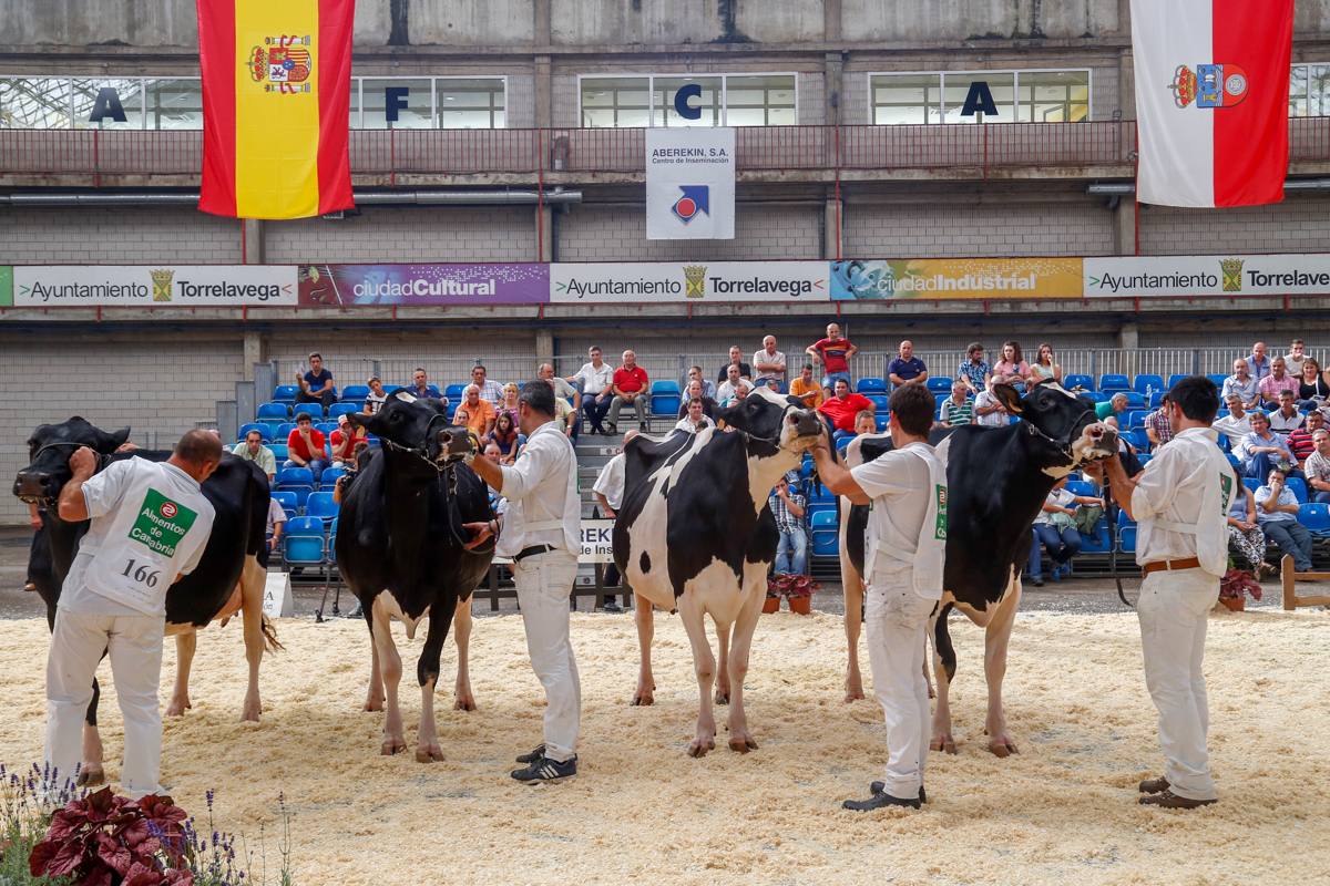 'Gala', de los ganaderos Santiago Llera y Alfonso Medina, gana el Regional de Frisona