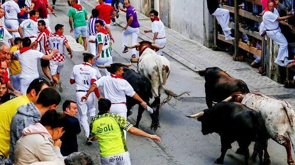 Los novillos hicieron el recorrido en manada y permitieron el lucimiento de los mozos