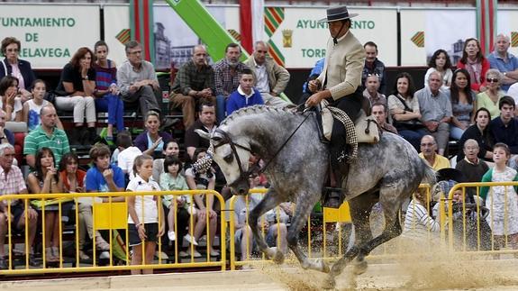 Los mejores purasangres se citan en Torrelavega
