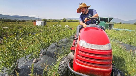 El Gobierno convoca 6,6 millones en ayudas para jóvenes agricultores