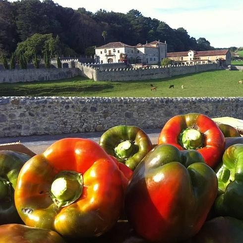 En Isla, Jornadas de los pimientos y la huerta