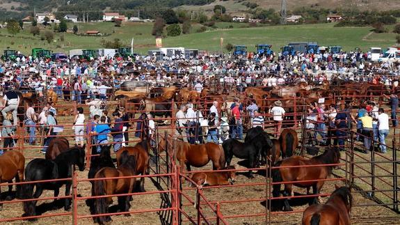 Multitudinario día de San Mateo