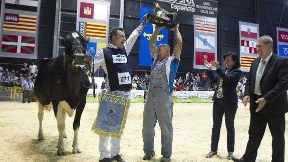 'Gala' también encandila en Asturias