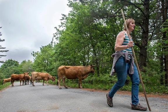 Las emprendedoras rurales, protagonistas en el Mercado de Ganados