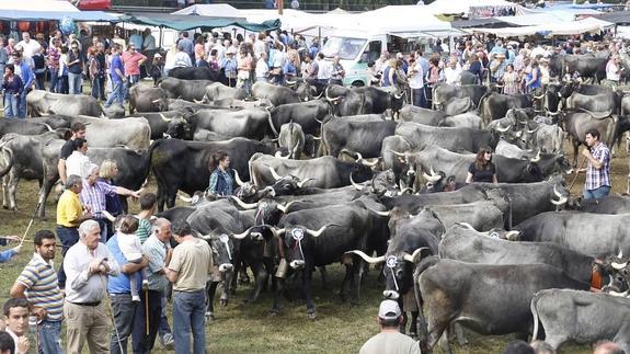 Multitudinaria asistencia a la feria de San Miguel, en Puentenansa