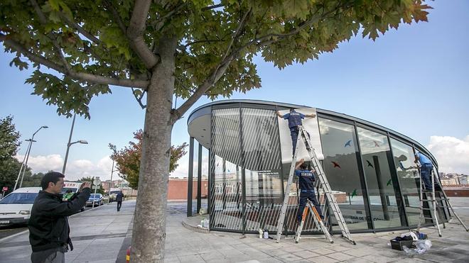 La UC coloca vinilos protectores para evitar la colisión de aves en el campus