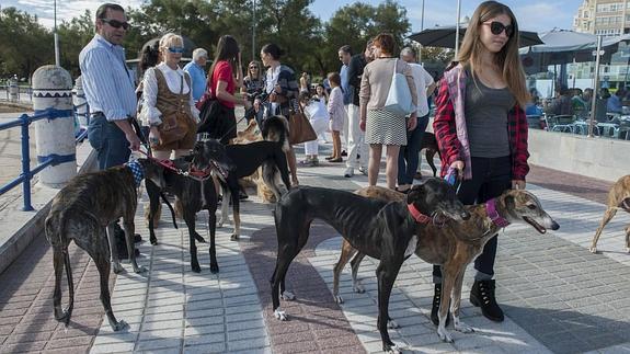 Un 'paseo' denuncia en El Sardinero el maltrato que sufren los galgos