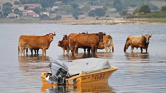 Campoo de Yuso quiere dedicar zonas del embalse del Ebro a deportes náuticos