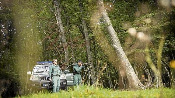 A la caza de los furtivos