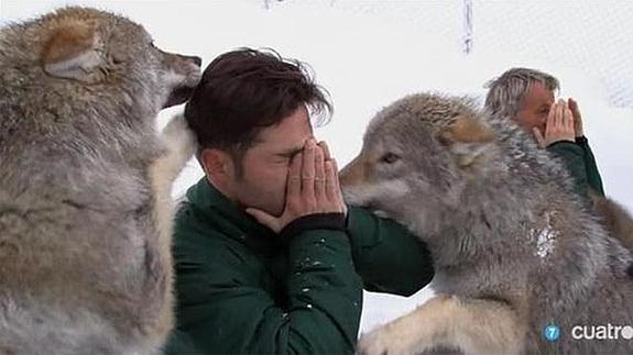 David Bustamante sufre el arañazo en el ojo de un lobo salvaje en 'Planeta Calleja'