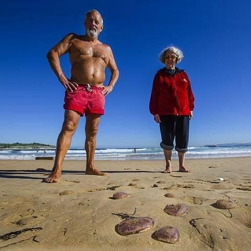 Las medusas visitan Santander en pleno otoño