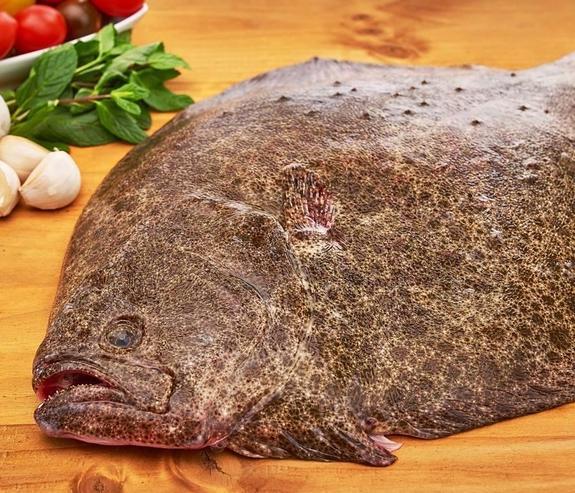 Rodaballo salvaje o de cultivo