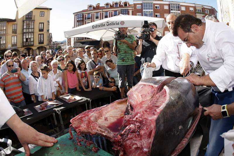 Ronqueo de atún en Torrelavega