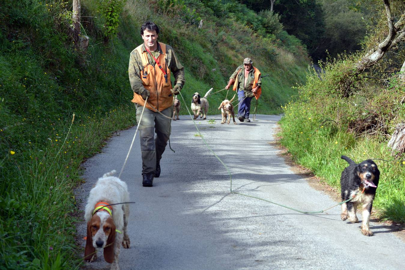 Los ecologistas piden la señalización obligatoria de las batidas de caza en Cantabria