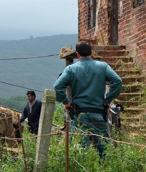 Condenado a cuatro meses un ganadero de Secadura por maltrato animal