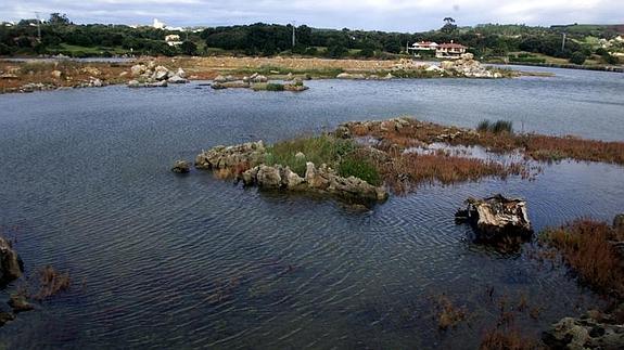 Vuleve a salir a información pública PORN de las Marismas de Santoña, Victoria y Joyel