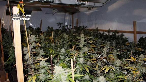 La marihuana de padres a hijos