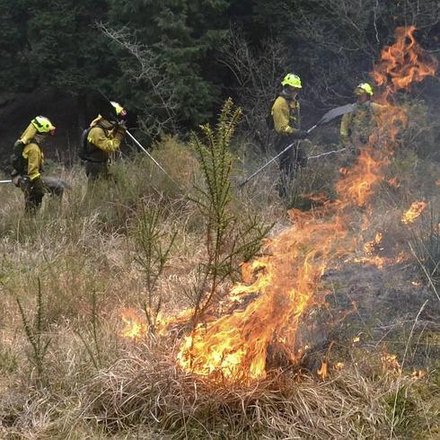 Un año de cárcel por provocar un incendio en Lamasón, en el fatídico mes de marzo de 2012