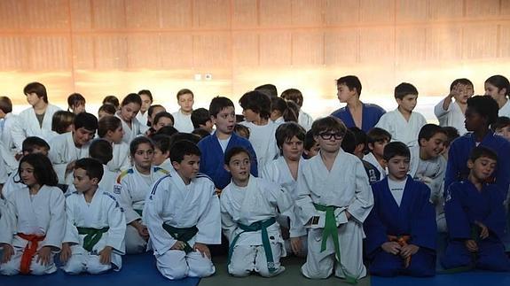 Los alevines regresan al tatami