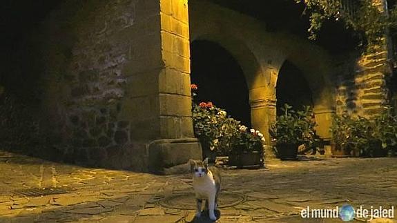 Pasear por Bárcena Mayor en las noches de otoño