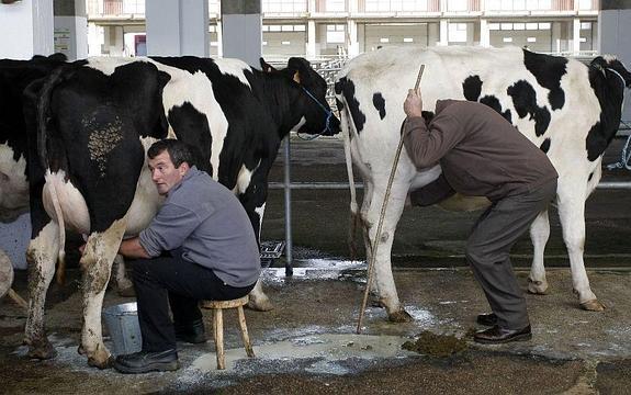 Ciudadanos defiende precio "justo" para leche y el apoyo a los productores